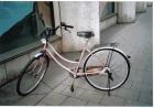 26 Zoll PONEY