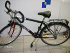 Herren Trekkingrad 28 von Vortex NEU