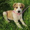 Angela / Status sucht ein Zuhause