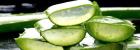 Warum hilft dir nur reine Aloe Vera